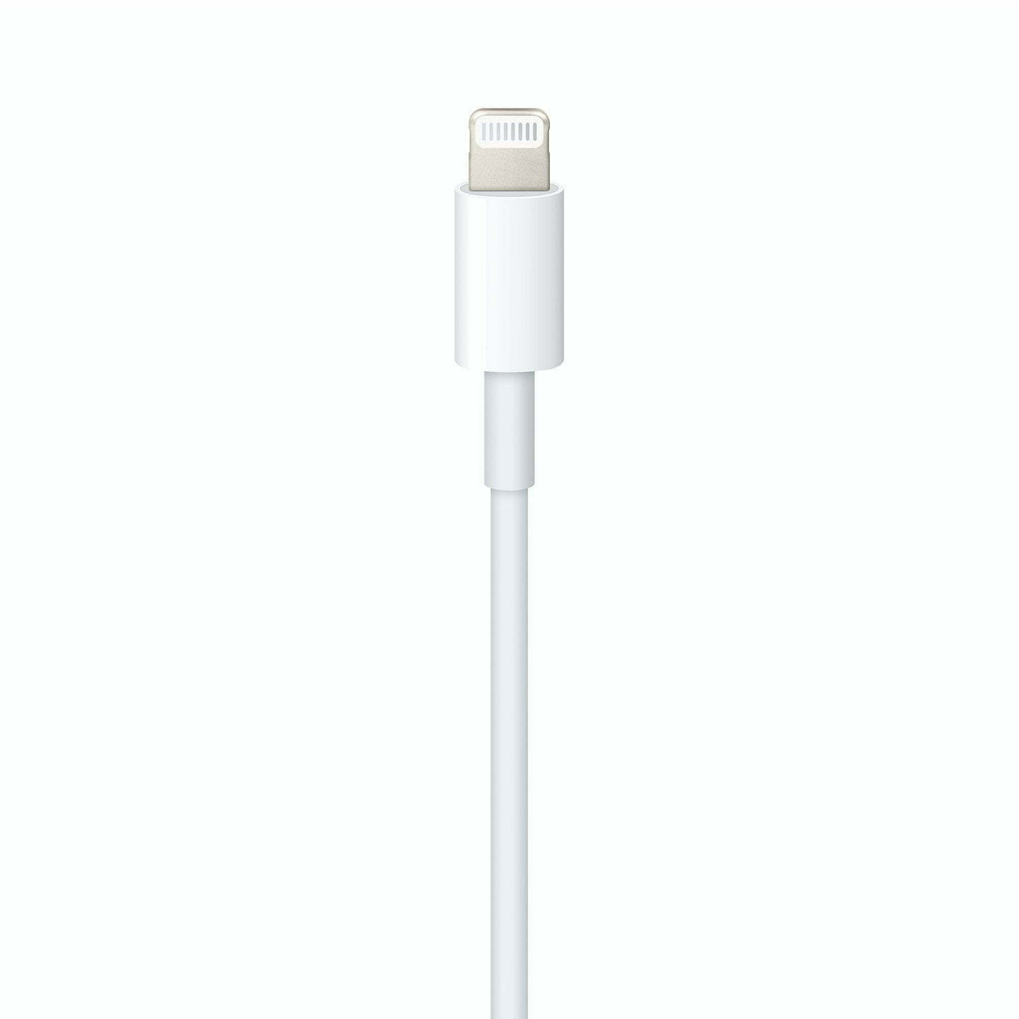 Apple Lightning to USB-C Cable - MacKlinikstores